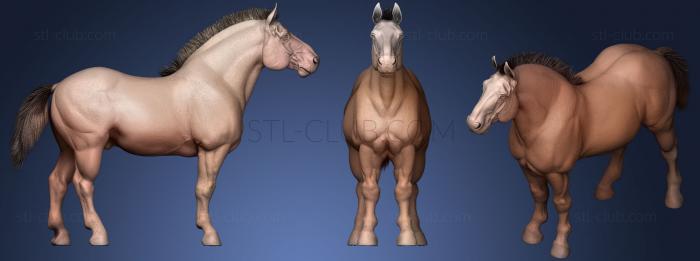 3D model Draft Horse (STL)